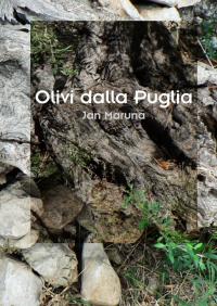 Olivi dalla Puglia