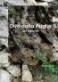 Olivi dalla Puglia