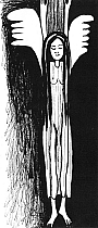 ilustrace librix