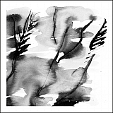 ilustrace librix