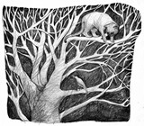 ilustrace librix