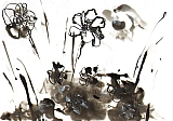 ilustrace librix