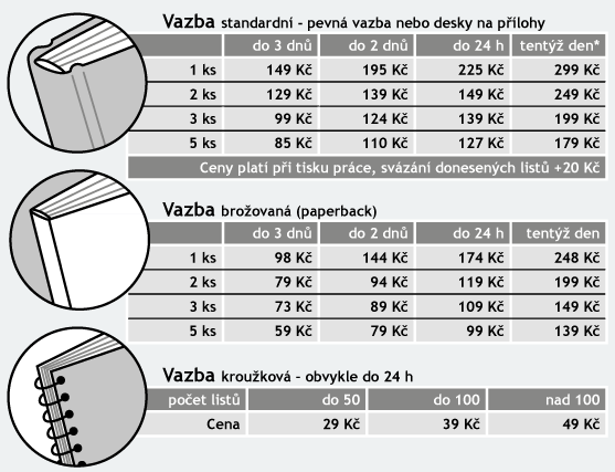 cenová nabídka diplomových prací